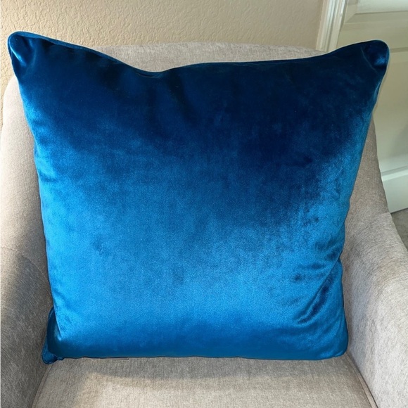1-NEW RODEO HOME VELVET DECORATIVE PILLOWS (Read description for details) - Picture 5 of 12